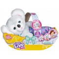 Мишка коала обнимашка Little Live Pets Cozy Dozy Cubbles Bear koala 