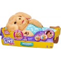 Интерактивный Щенок обнимашка Little Live Pets Cozy Dozys Charlie The Puppy