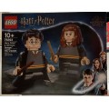 Лего Lego  Harry Potter & Hermione Granger 76393 Гарри Поттер и Гермиона Грейнджер 