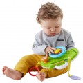 Развивающая игрушка Fisher-Price Руль Львенок DYW53 Rollin' & Strollin' Dashboard