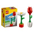 Lego Iconic Цветы 40187