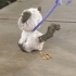  Интерактивная игрушка Hasbro Забавный котёнок Ками Друг щенка Пакс FurReal Friends Kami My Poopin Kitty