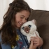  Интерактивная игрушка Hasbro Забавный котёнок Ками Друг щенка Пакс FurReal Friends Kami My Poopin Kitty